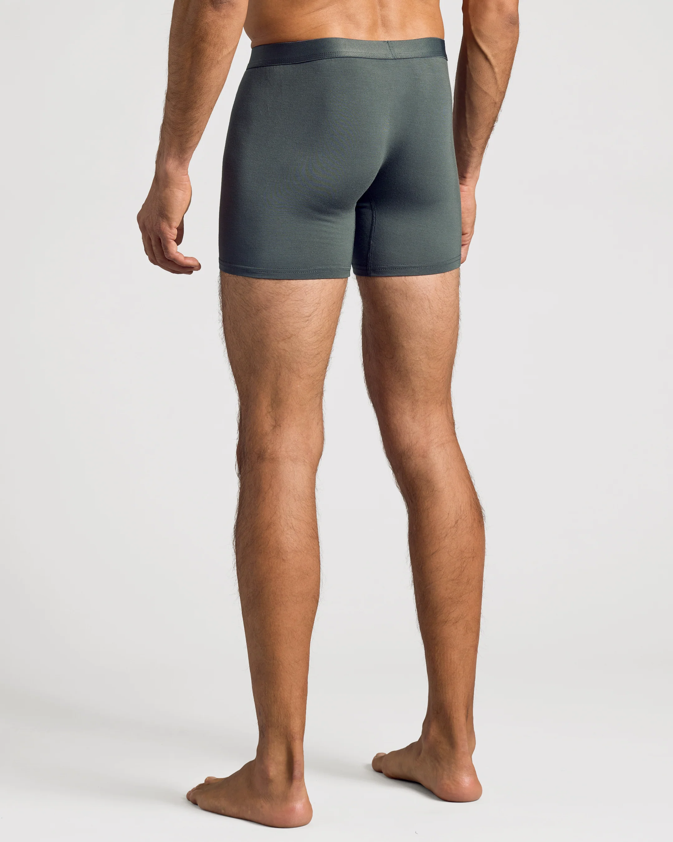 Carbon Boxer Briefs W/ Fly 6-Pack 2025 - Image 4